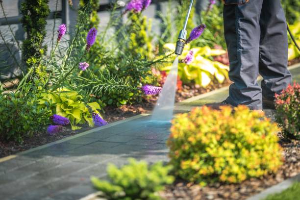 Best Pool Deck Cleaning  in Granite Falls, NC